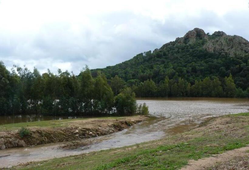 פנסיון Art Villa Del Poggio