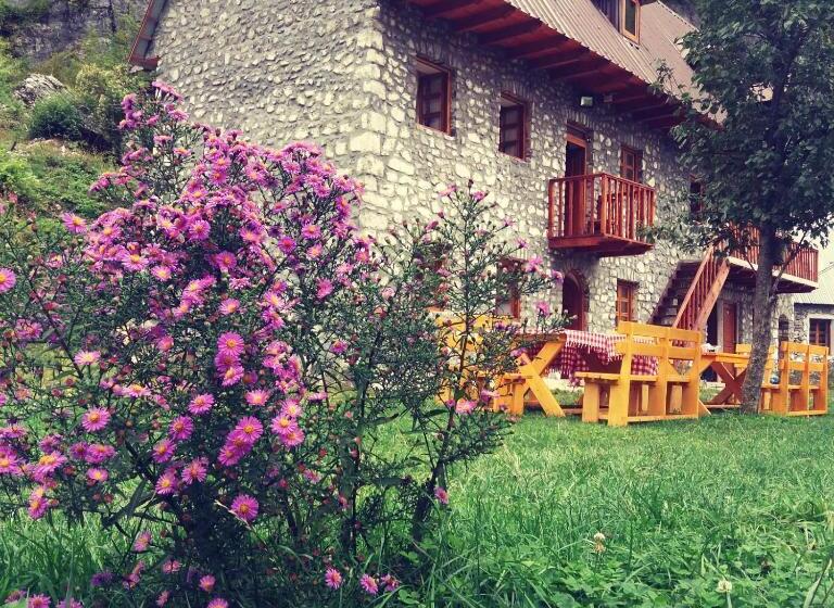 펜션 Bujtina Berishta Theth