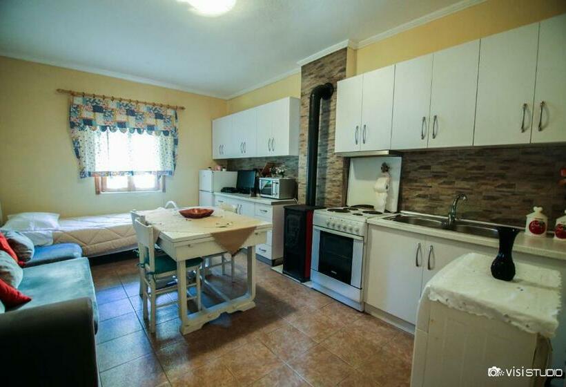 بنسيون Bujtina Leon's Apartments