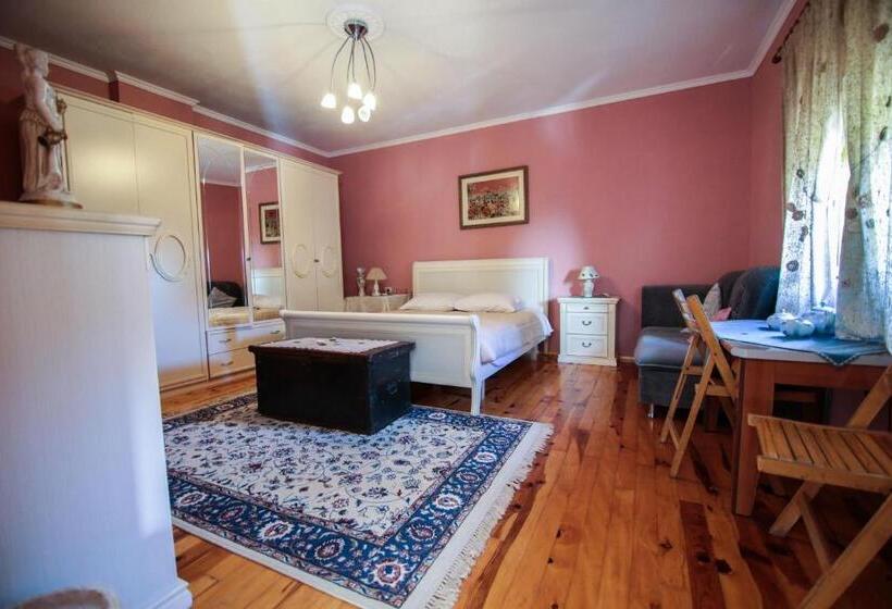 بنسيون Bujtina Leon's Apartments