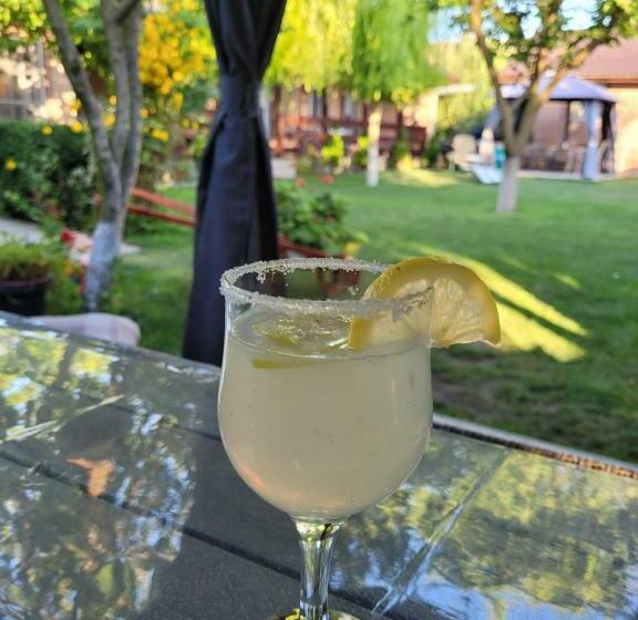 Пансион Casa Badea