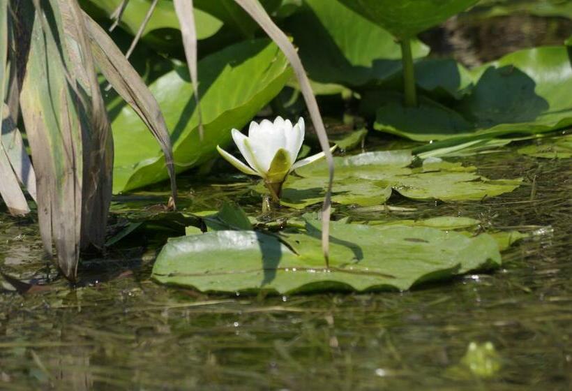 Пансион Casa Badea