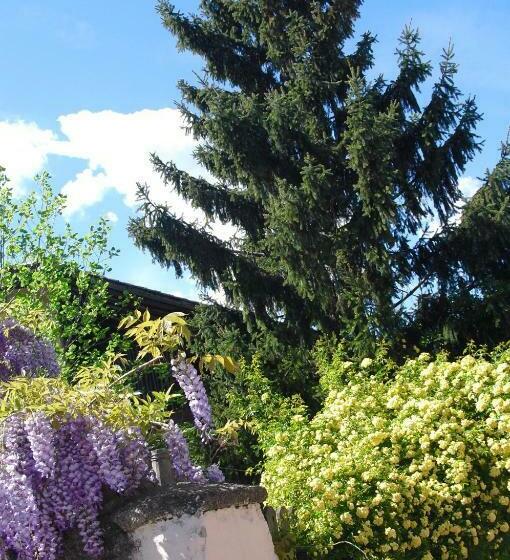 פנסיון Dependance Villnerhof