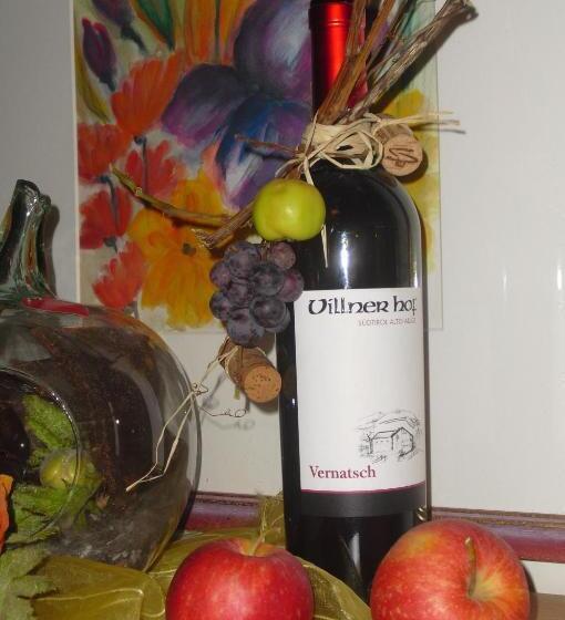 פנסיון Dependance Villnerhof