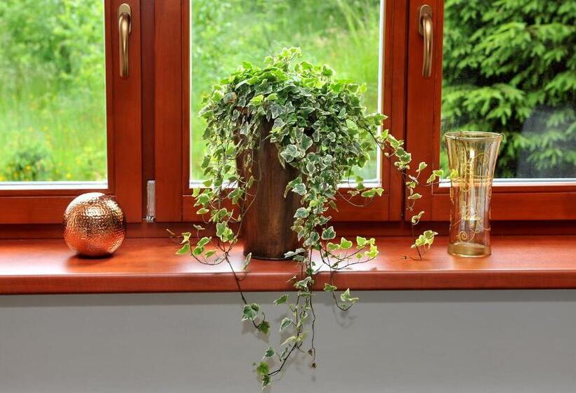 膳宿费 Miramonti Penzión