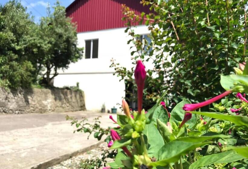 پانسیون Nika's Guest House