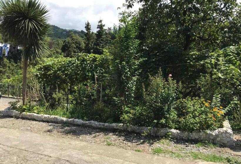 پانسیون Nika's Guest House