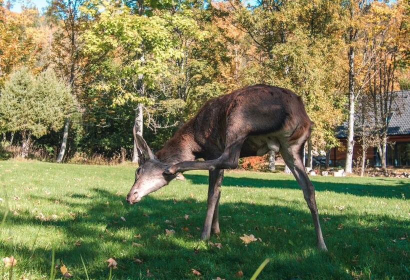 膳宿费 Penzión Jesenský