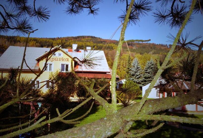 پانسیون Penzion Lipůvka