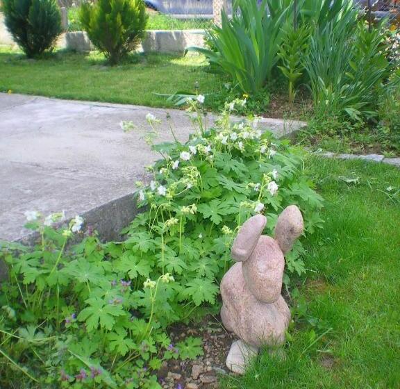 بنسيون The House Of Petar Levski