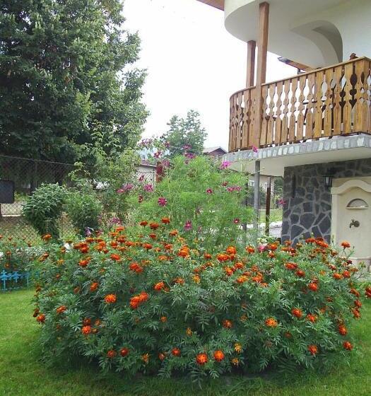 بنسيون The House Of Petar Levski