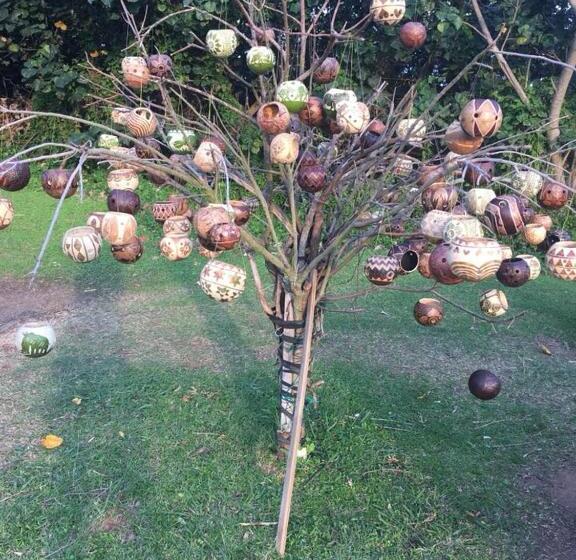 펜션 Turaco Guest House