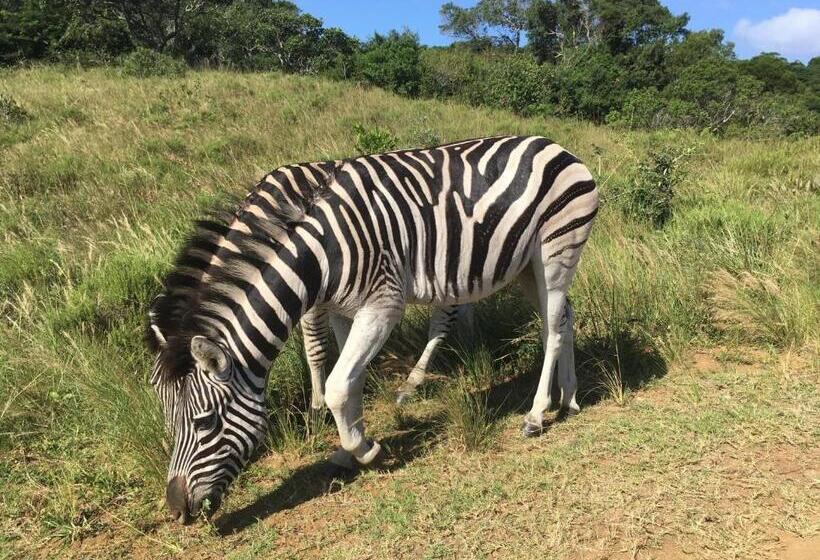 펜션 Turaco Guest House