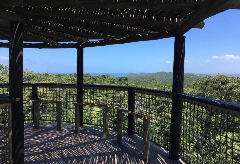 펜션 Turaco Guest House