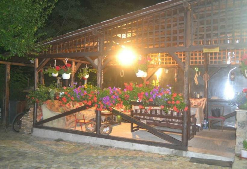 بنسيون Vila Pitty