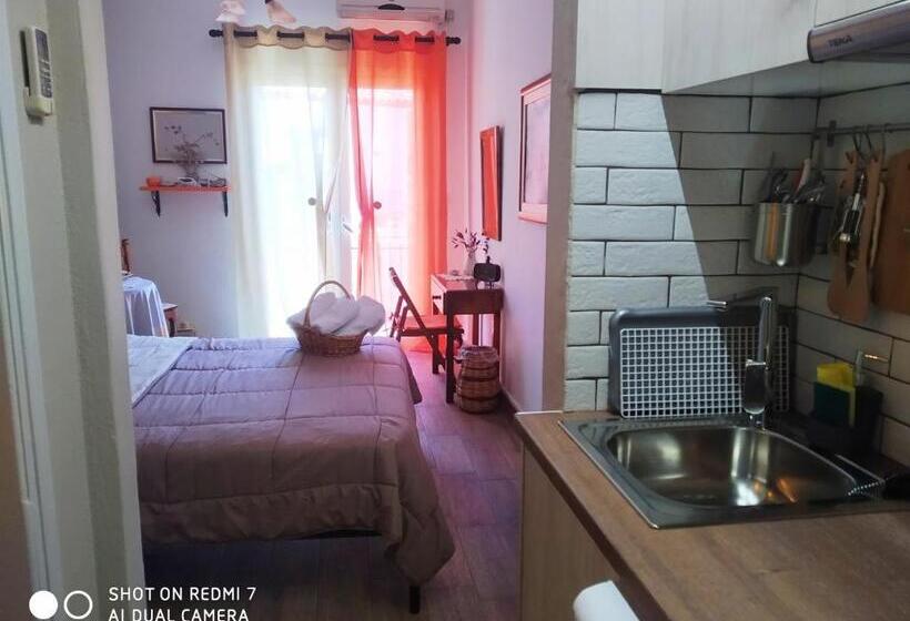 膳宿费 Violetta Rooms