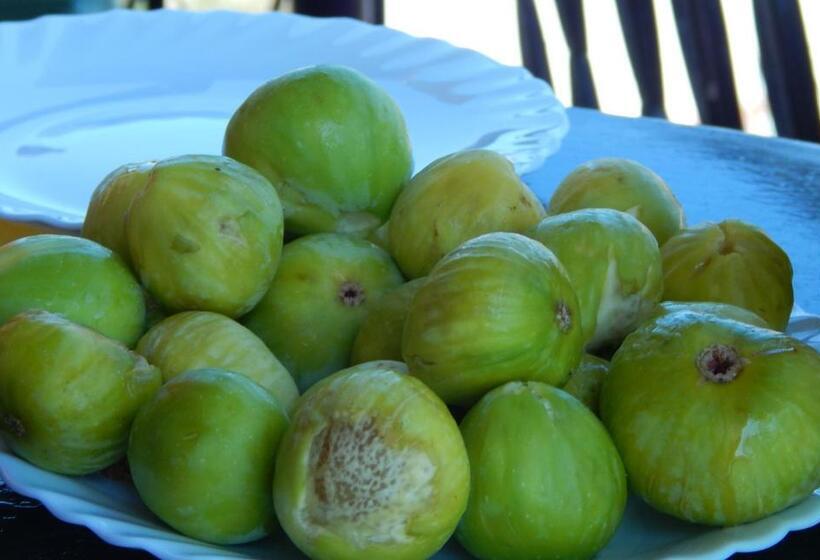 膳宿费 Violetta Rooms