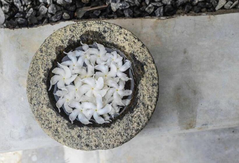 호스텔 Bunk 15 Hiriketiya