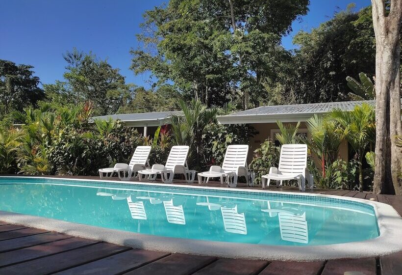 Alloro Jungle Villas