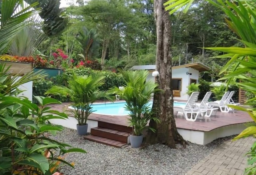 Alloro Jungle Villas