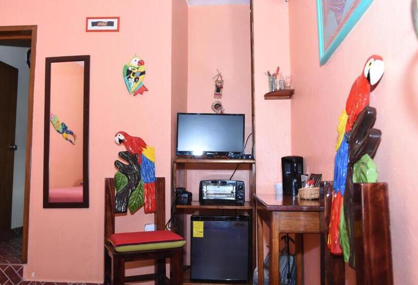 تختخواب و صبحانه Cancun Guest House 1