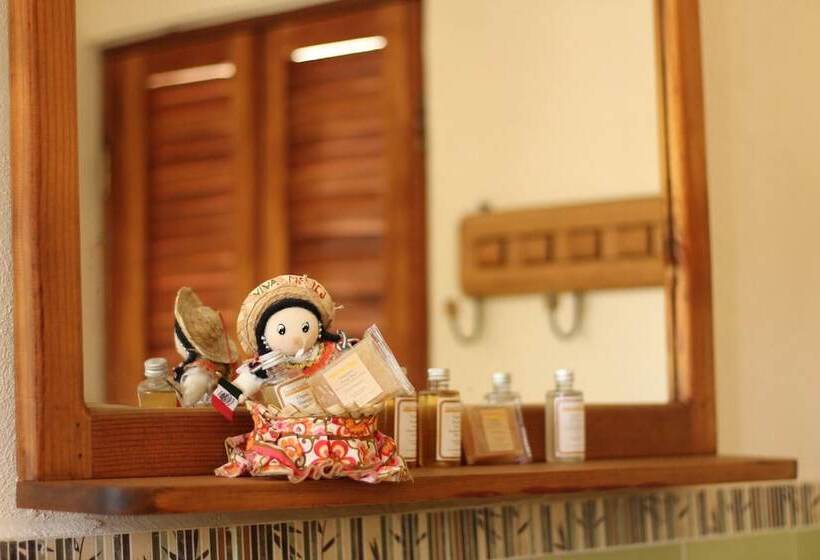 Bed and Breakfast Cancun Guest House 4 Terrace Tub