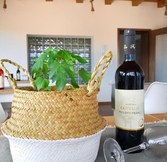 مبيت وإفطار Naturella Panzió