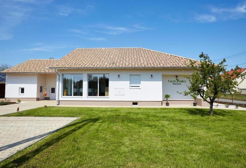 مبيت وإفطار Naturella Panzió