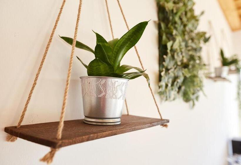 צימר Naturella Panzió