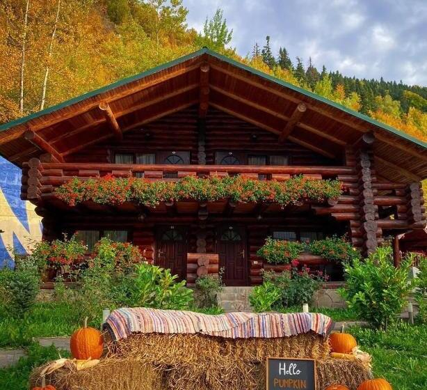 酒店 Complex Adora