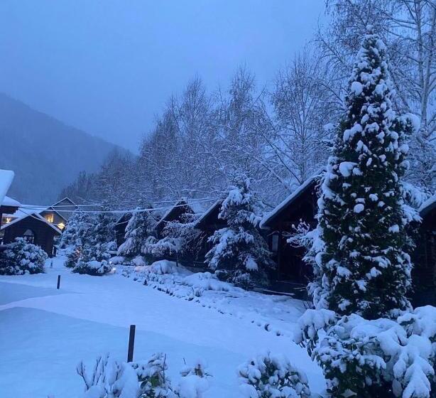 酒店 Complex Adora