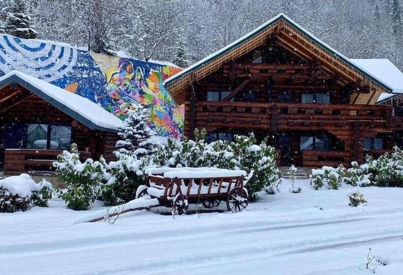 酒店 Complex Adora