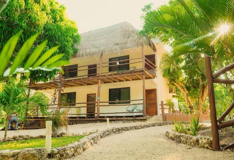 酒店 Royal Palm Bacalar Cabañas & Lagoon Club