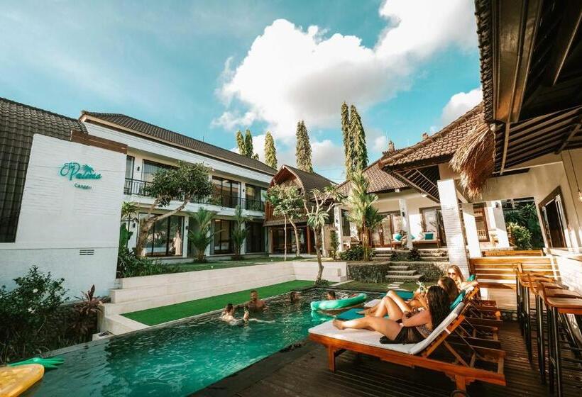 ホテル The Palms Canggu