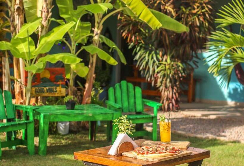 بنسيون Back To The Beach Hostel Pipa