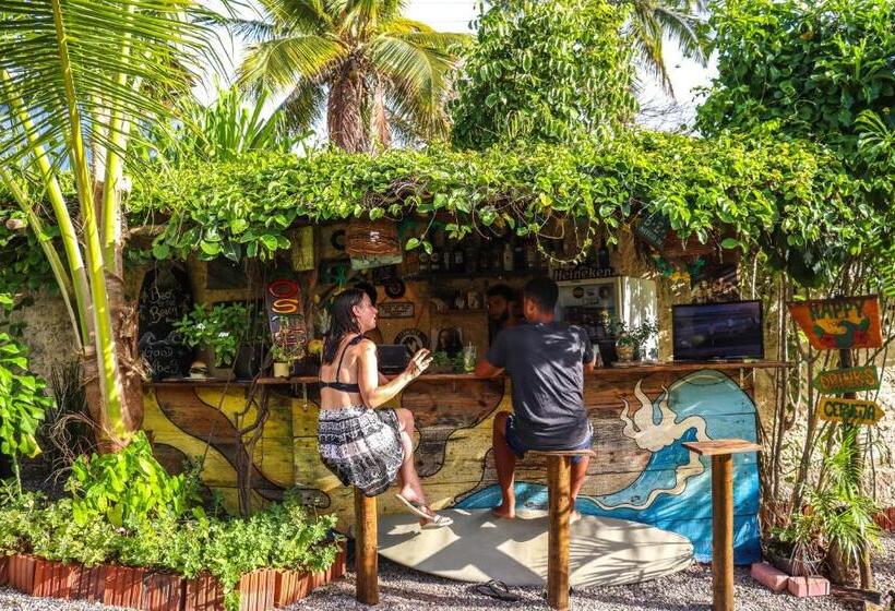 بنسيون Back To The Beach Hostel Pipa