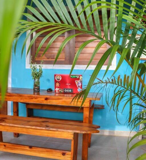 بنسيون Back To The Beach Hostel Pipa