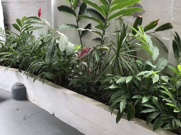 بنسيون Casa Maria Pousada