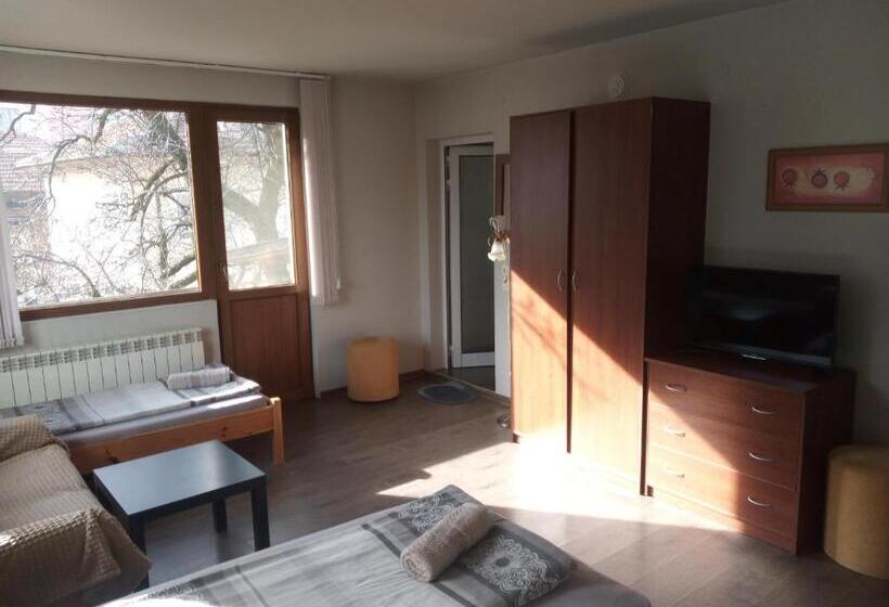 پانسیون Dariya Guest House