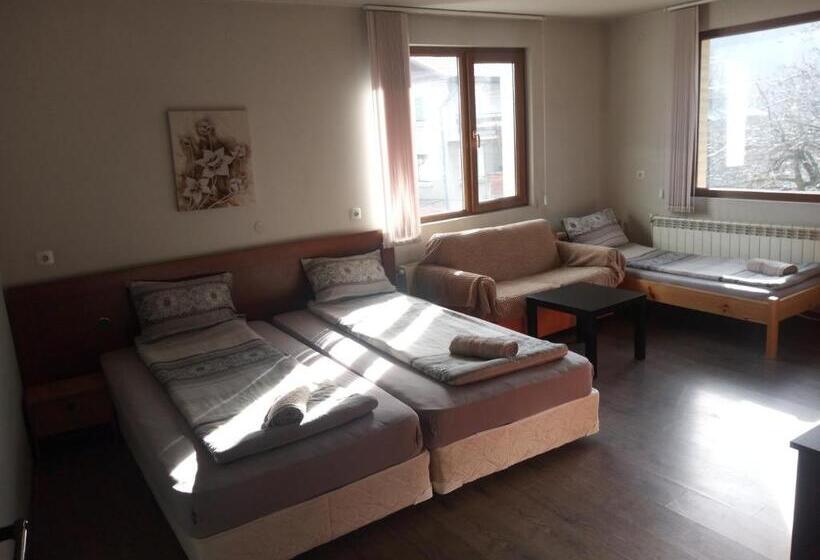 پانسیون Dariya Guest House