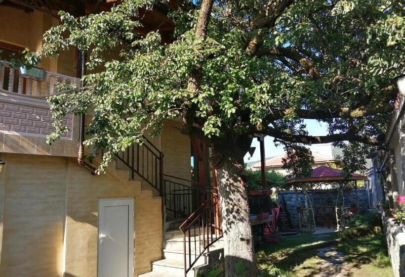 پانسیون Dariya Guest House