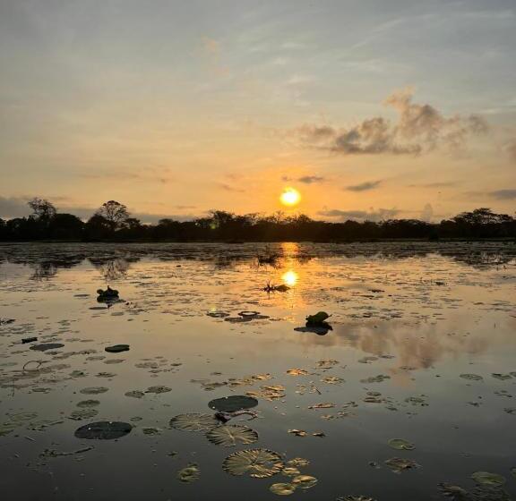 Пансион Gold Crown Residence