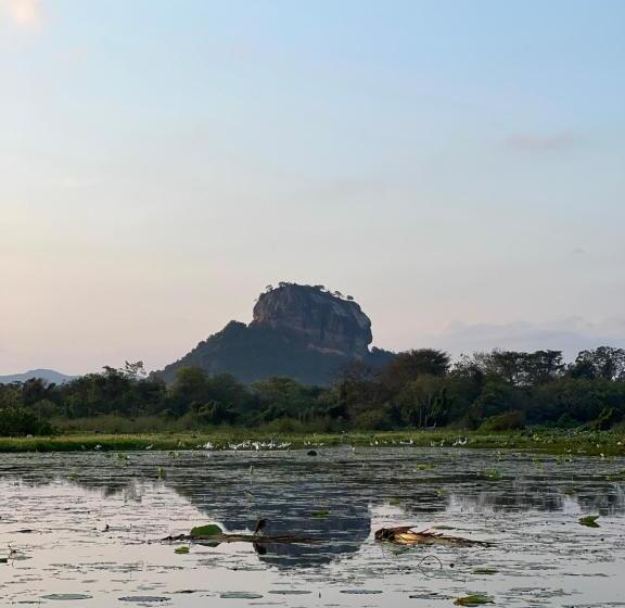 Пансион Gold Crown Residence