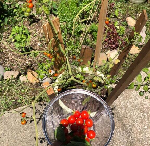 פנסיון Konayuki