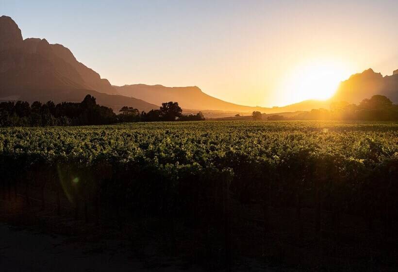 پانسیون Lynx Wine Estate