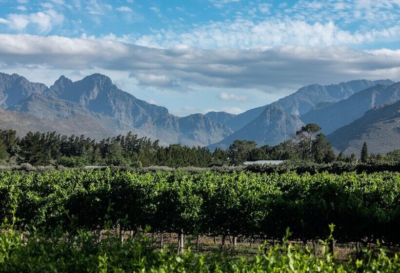 پانسیون Lynx Wine Estate