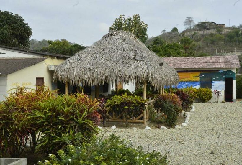 Пансион Montañita Garden Hostal