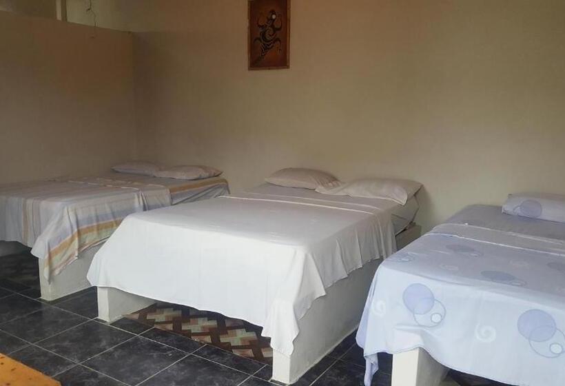 ペンション Montañita Garden Hostal