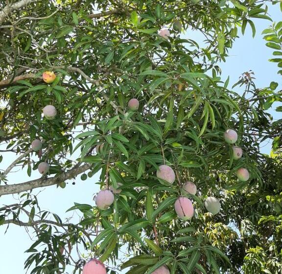 펜션 Pousada Santa Fé