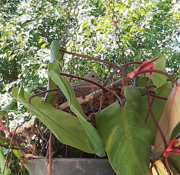 펜션 Pousada Santa Fé